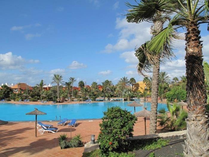 Oasis Tamarindo By Best Holidays Fuerteventura Corralejo Bagian luar foto