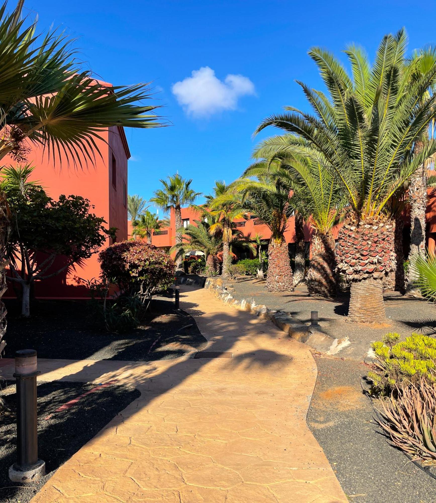 Oasis Tamarindo By Best Holidays Fuerteventura Corralejo Bagian luar foto
