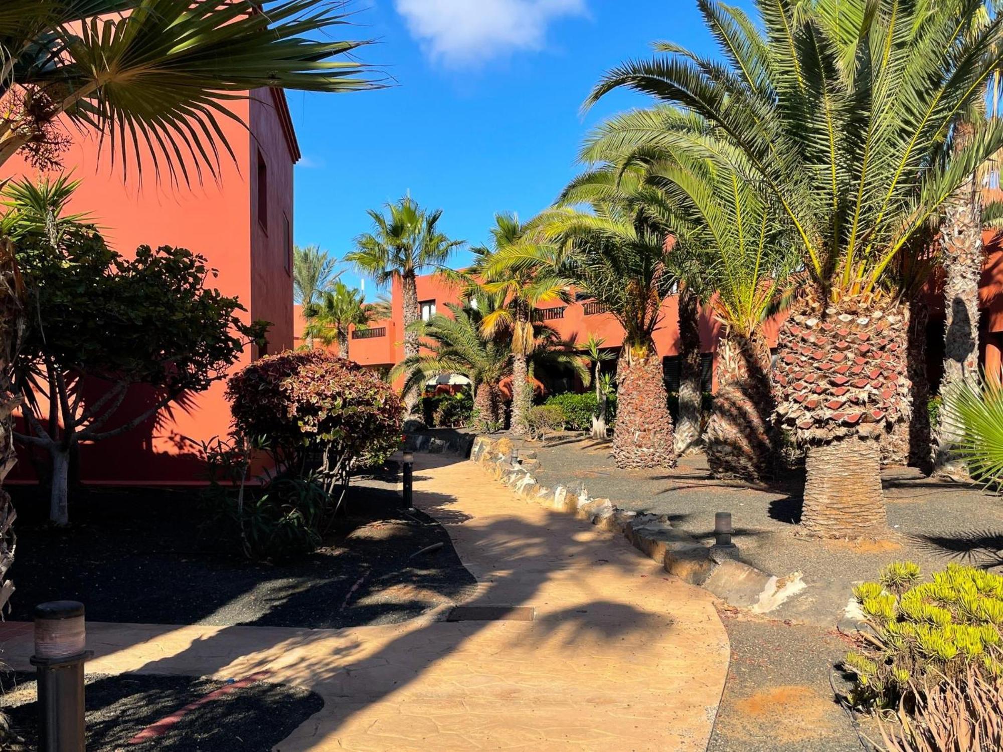Oasis Tamarindo By Best Holidays Fuerteventura Corralejo Ruang foto