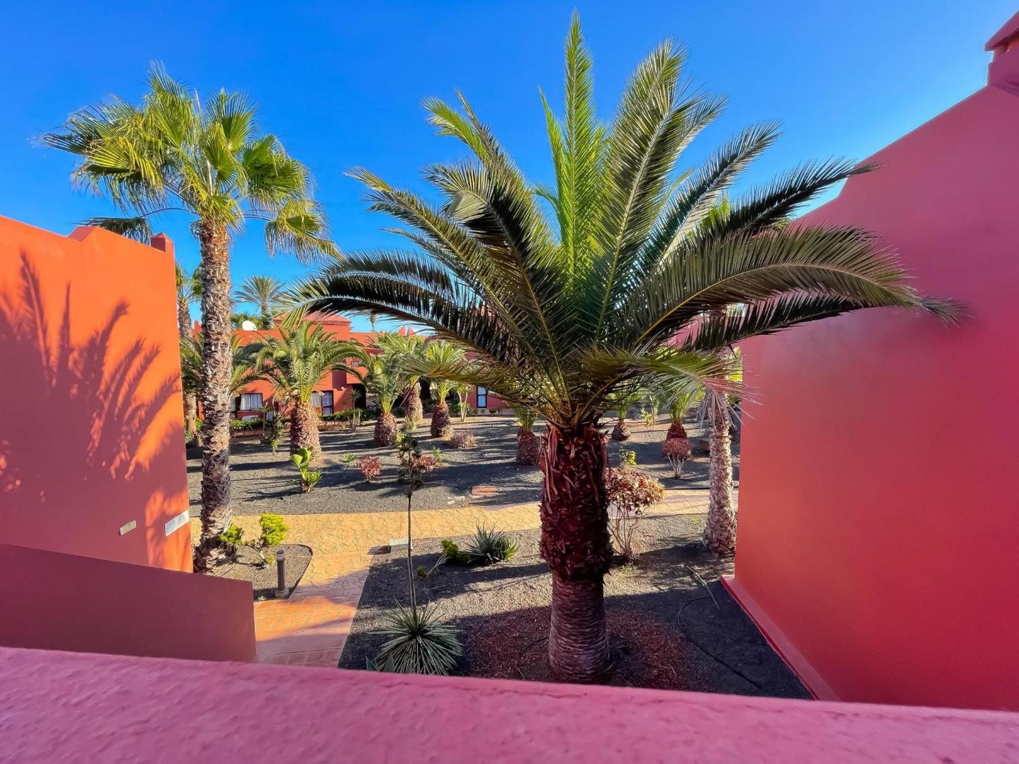 Oasis Tamarindo By Best Holidays Fuerteventura Corralejo Ruang foto
